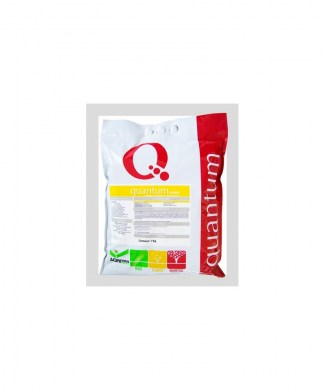 kuantum-quantum-za-cftezh52222 (1)